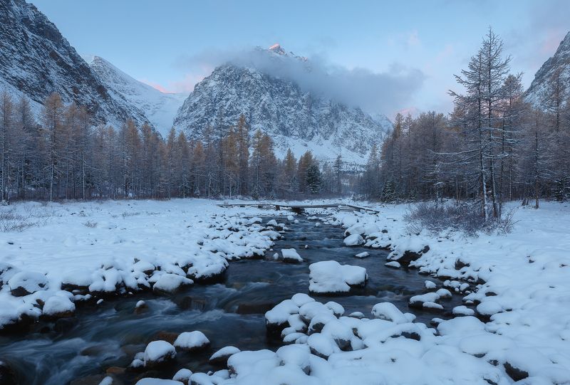 алтай Долина реки Актру фото превью