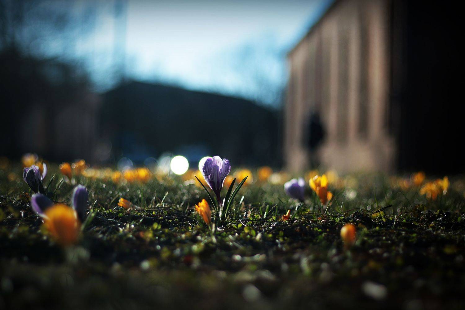 , Krzysztof Trojanowski