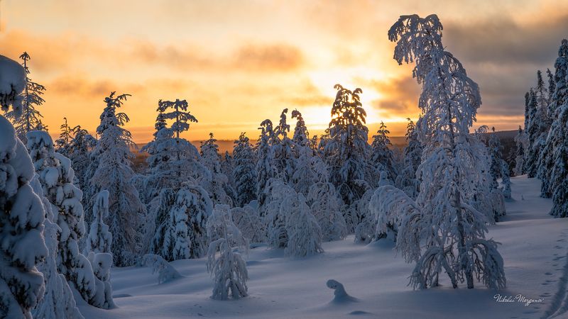 Север фото превью