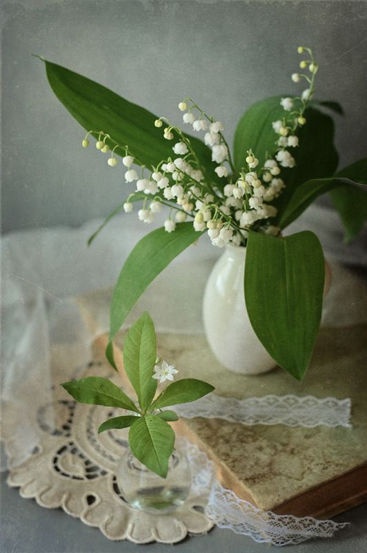 Ландыши, ландыши фото превью