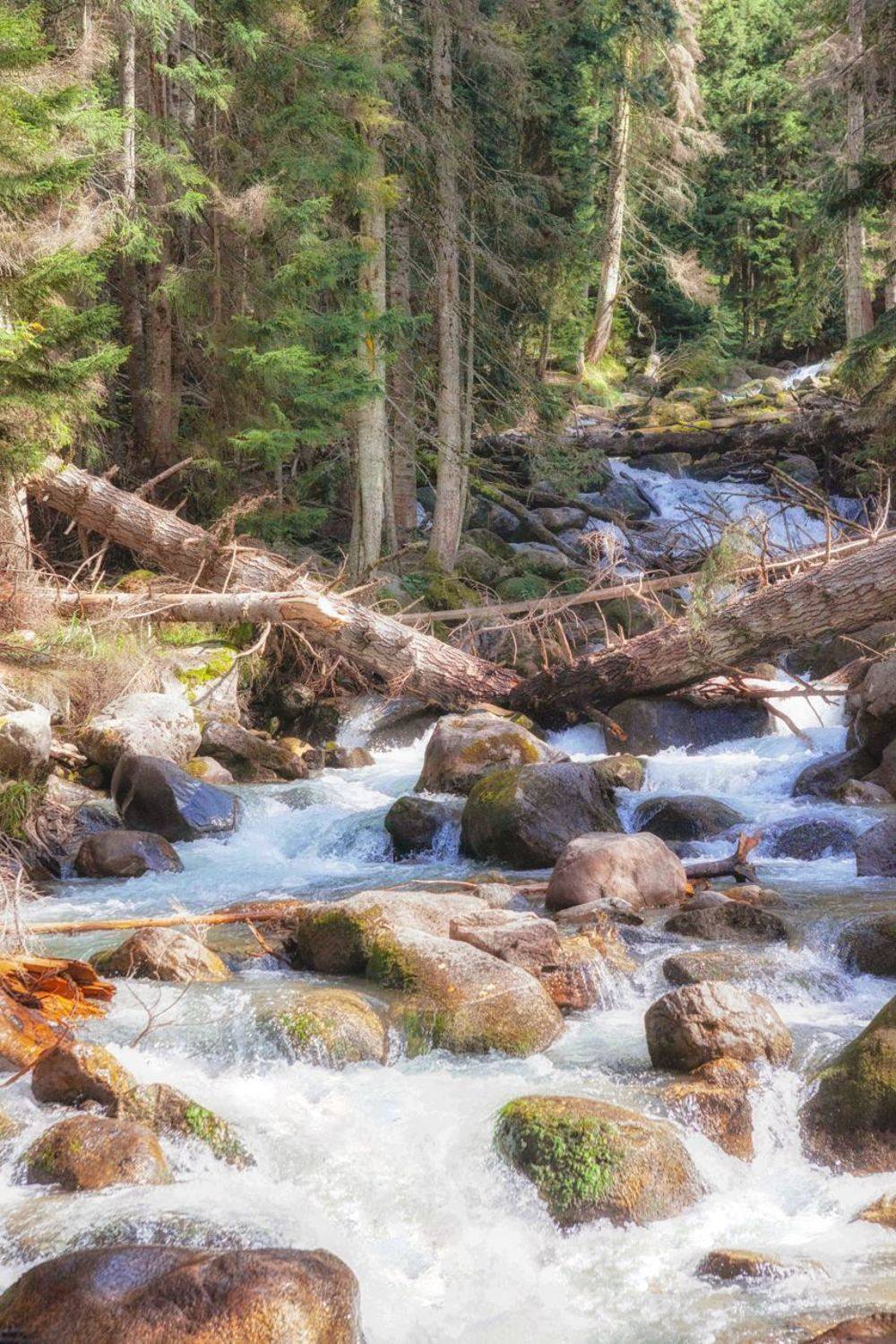 , Сергей Сотников