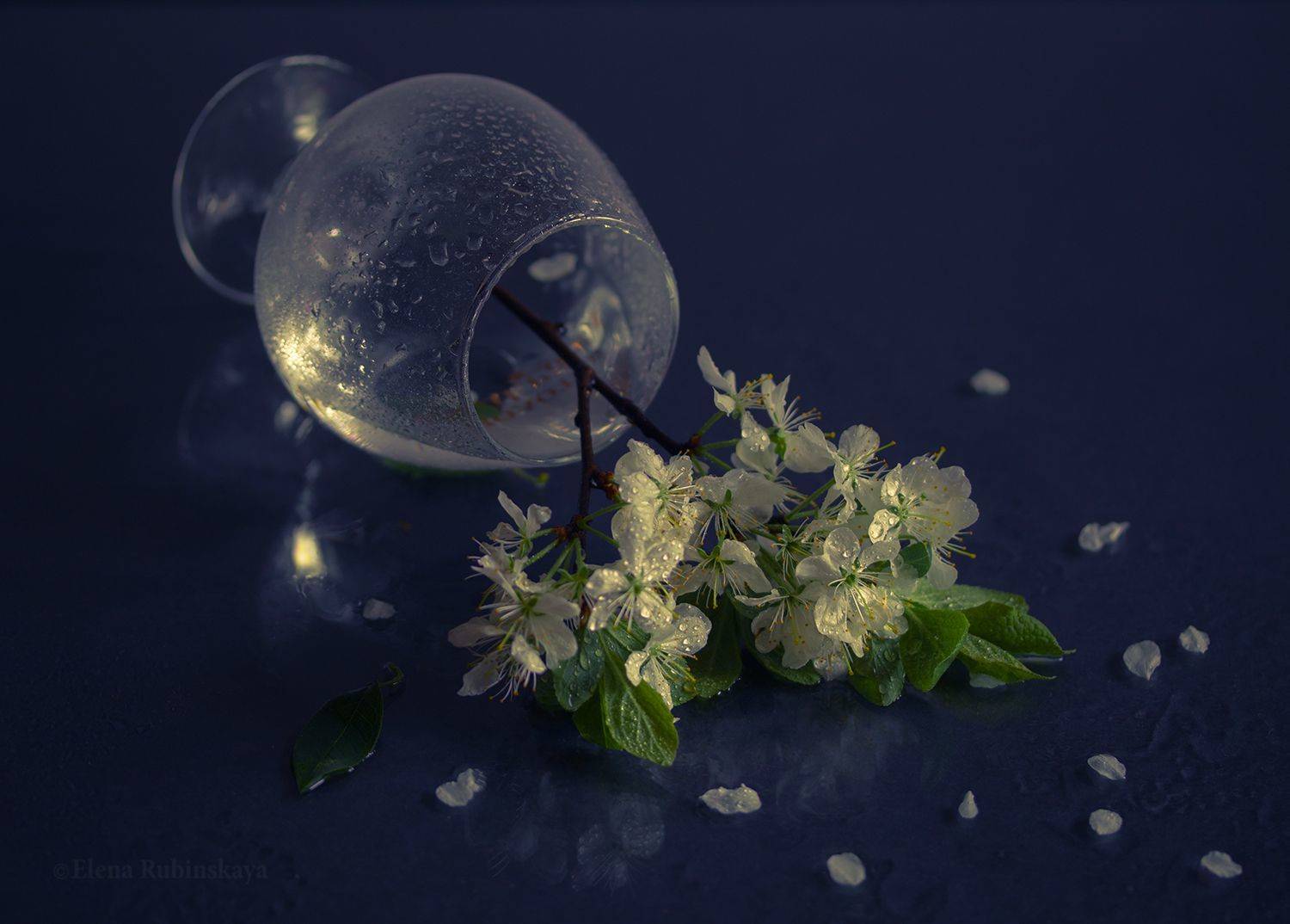 , Елена Рубинская