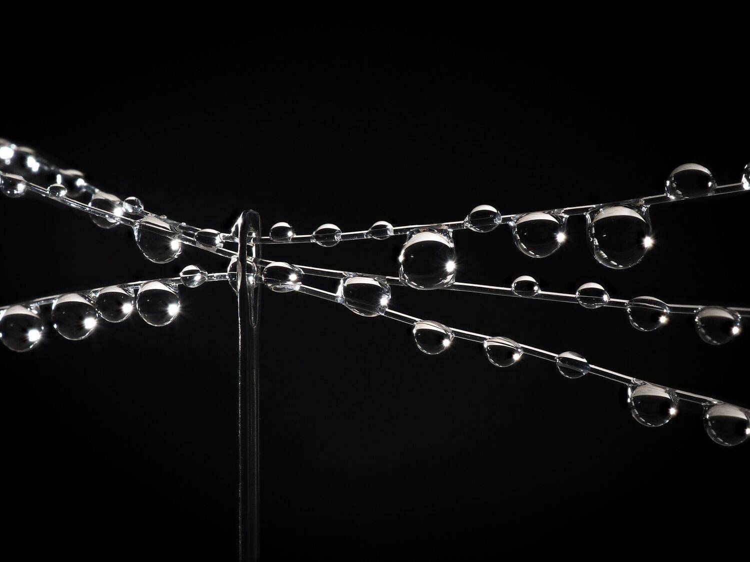 арт, макро, игла, капли, черный, свет, вода, Сергей Калёв