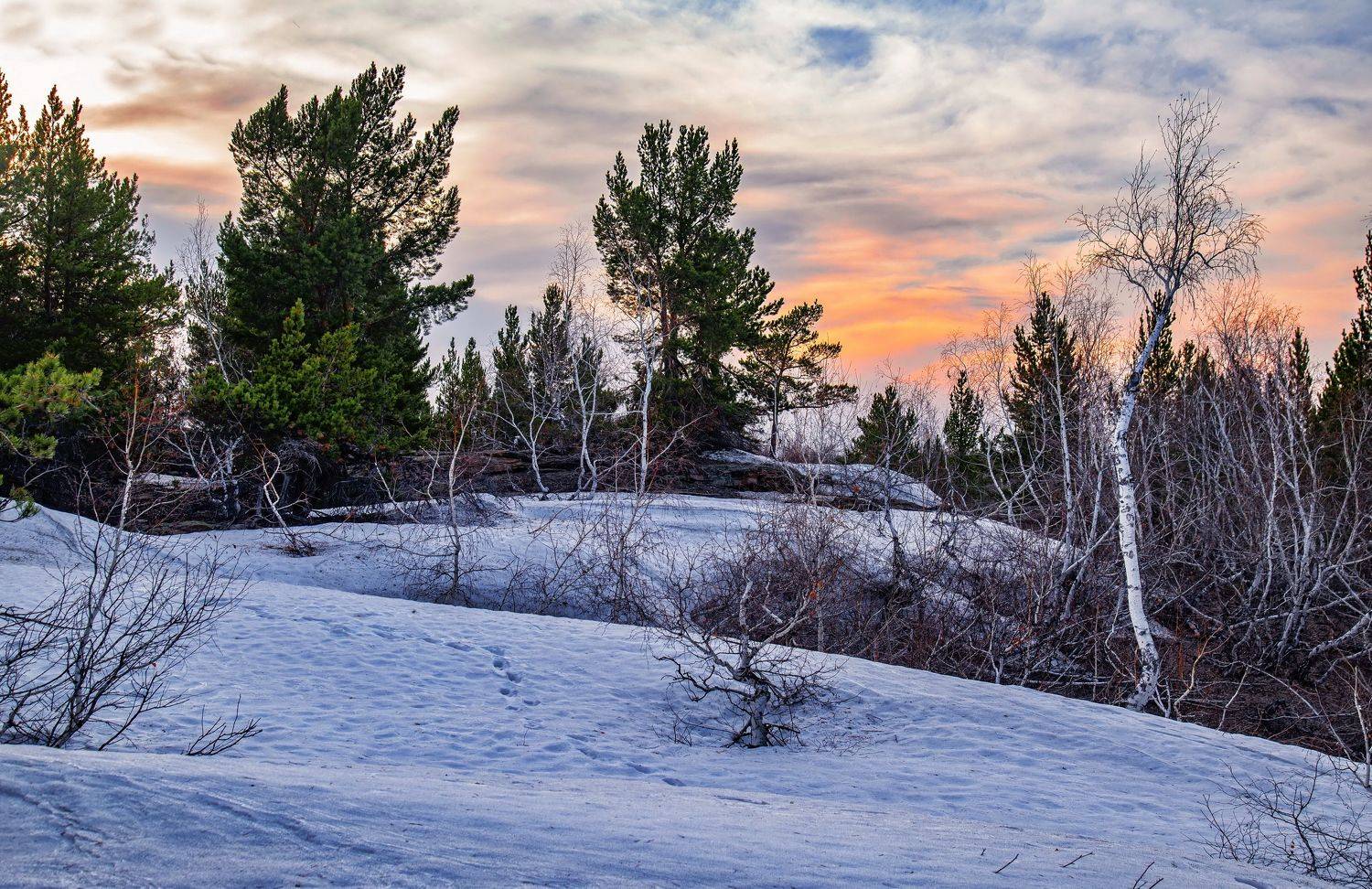 весна, Евгений Дроботенко