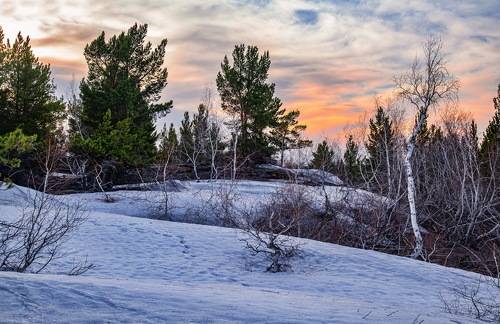 Корнеевка  16 Апреля