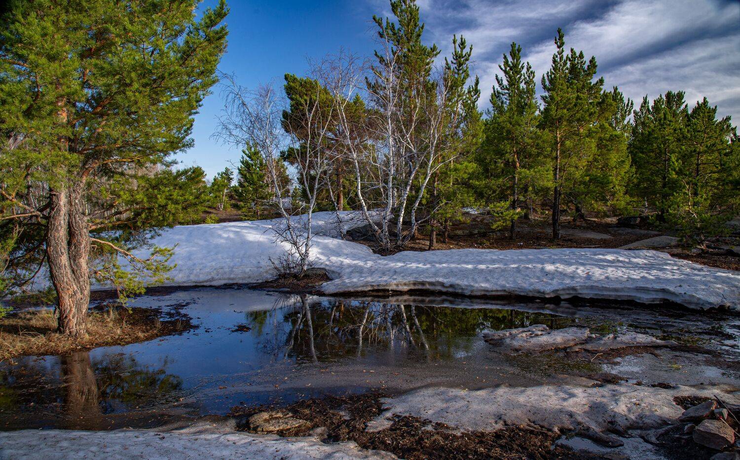 весна, Евгений Дроботенко