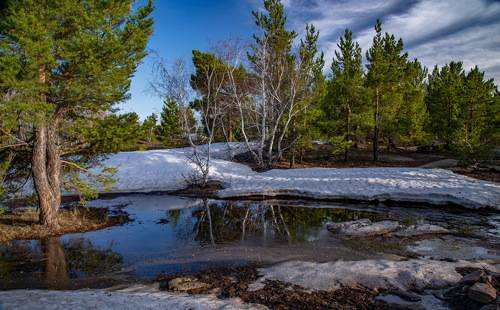 Весна в Корнеевке