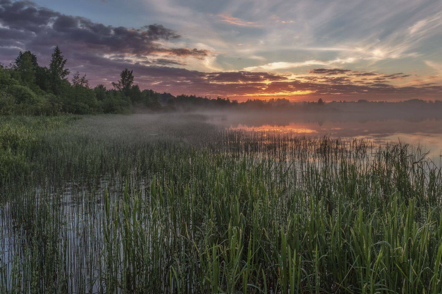 Тверская область, Гусева Елена