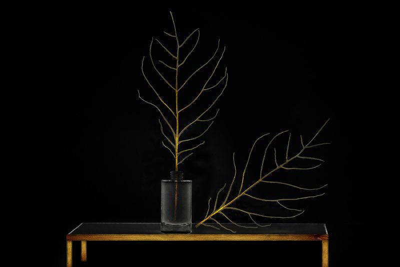 Still Life with Bones of Leaves фото превью