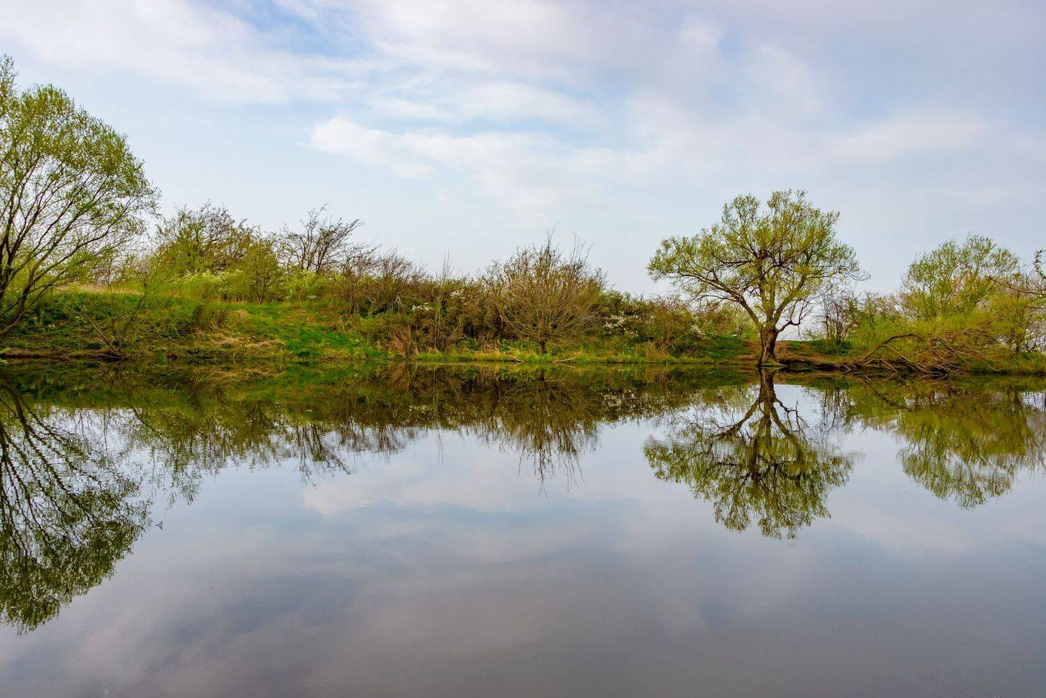 весна,озеро,деревья,отраженя,природа,пейзаж, Елена Брежицкая