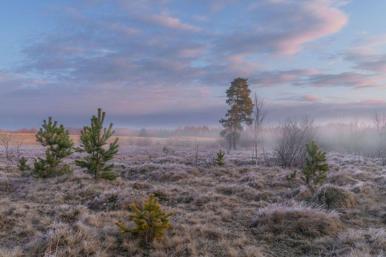 Фототуры с Владимиром Рябковым, апрель, #topnature #russpasibo #magic_shots #lovelyRussia #sunset_vision #exclusive_sky  #exclusive_shots #loves_russia2 #photoarena_nature #nature_sultans #nature_perfection #rsa_sky #rsa_sunset #photorussia #rsa_naturepic, Владимир Рябков