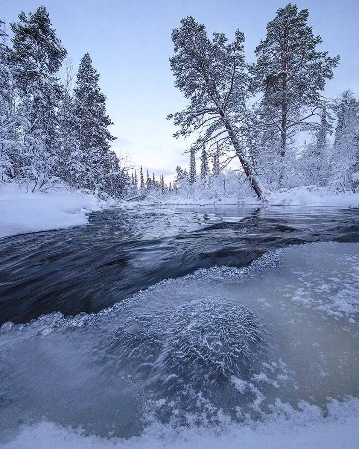 , Петр Косых