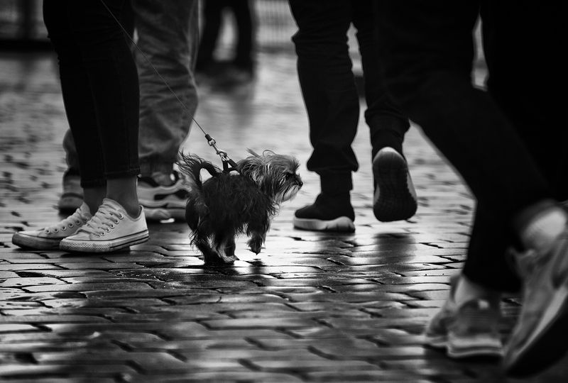 Городские картинки фото превью