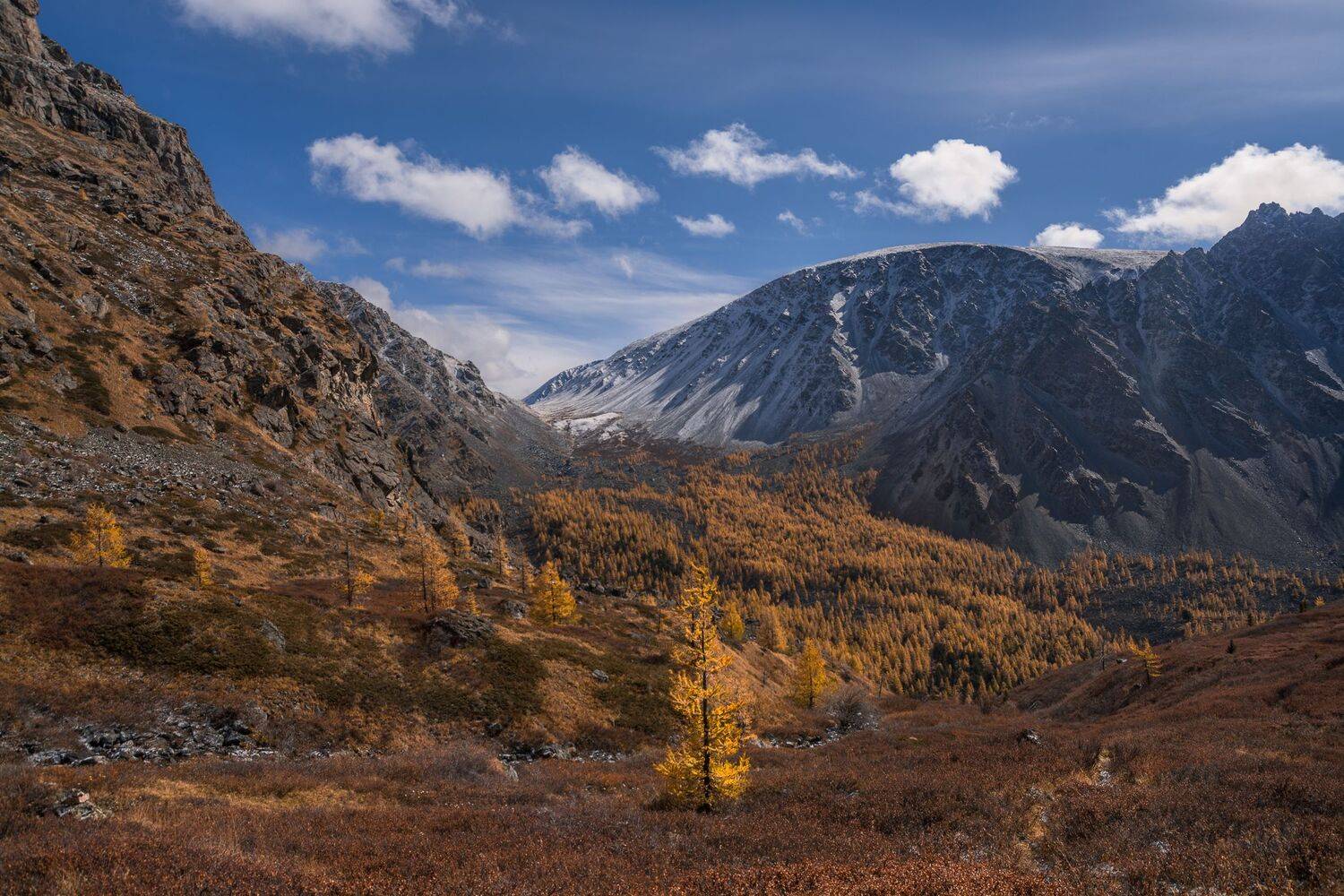 россия, горный алтай,осень, Андрей Поляков