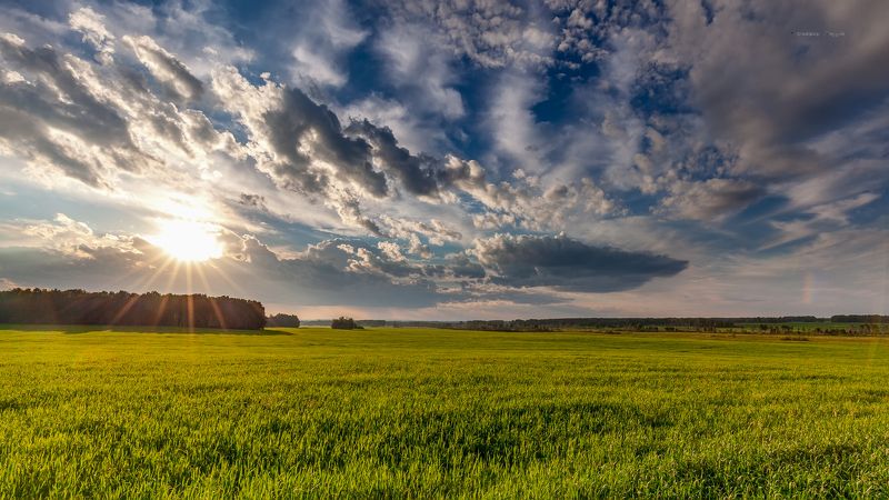 *** фото превью