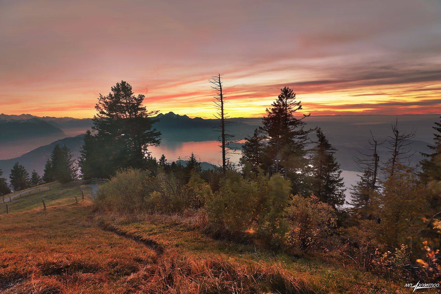 swiss, Матвеев Николай