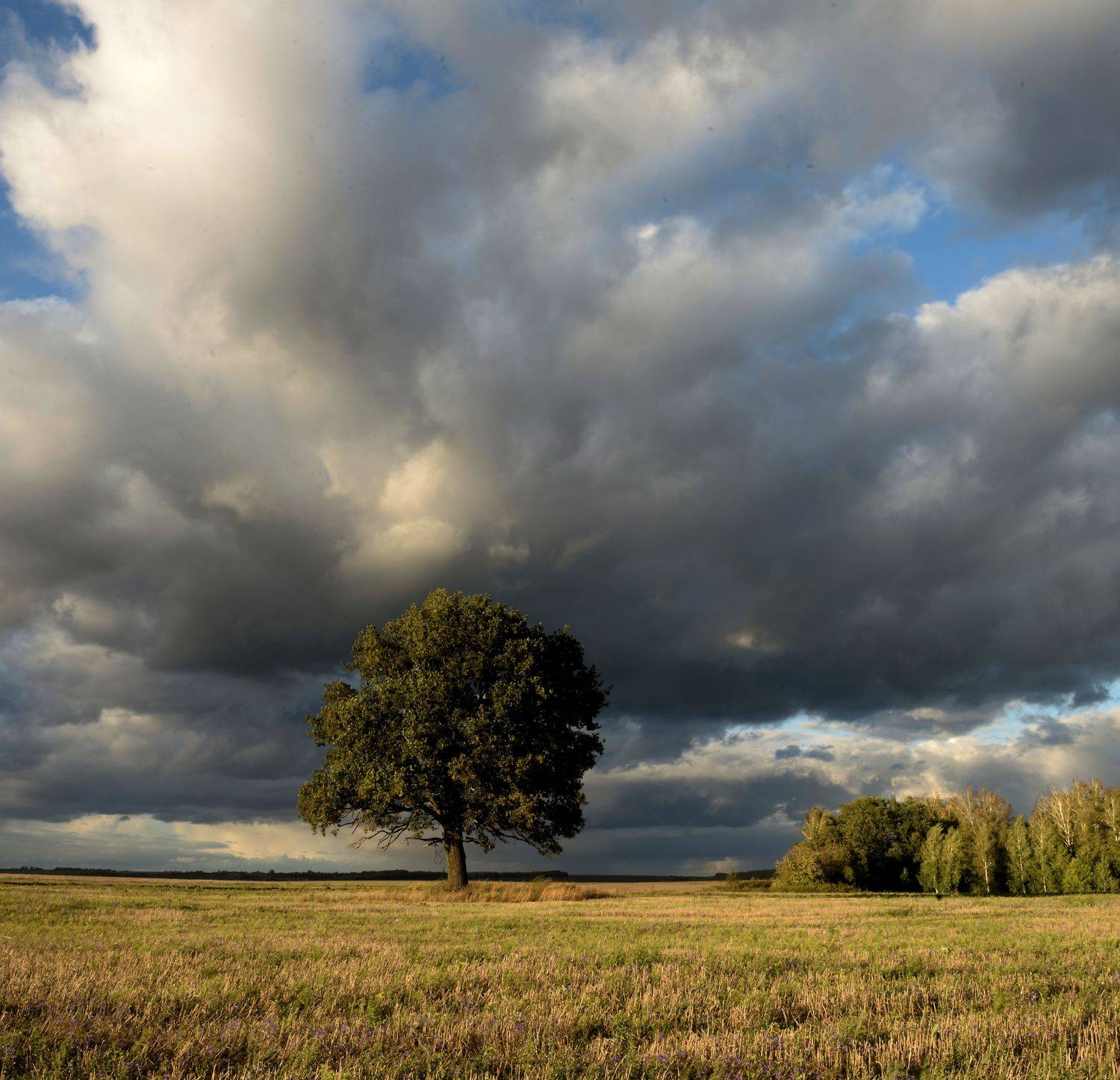 , Андрей Балабин