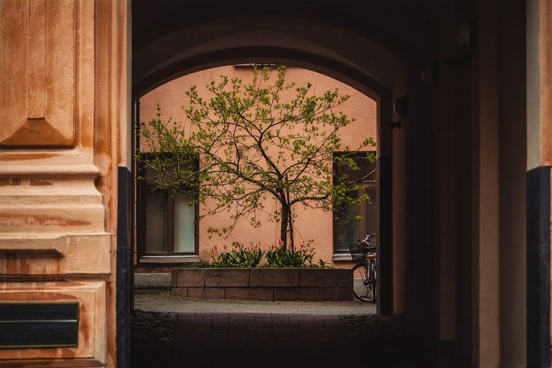 пейзаж, город, хельсинки, helsinki, cityscape, city, finland, urban landscape the courtyard. helsinki фото превью