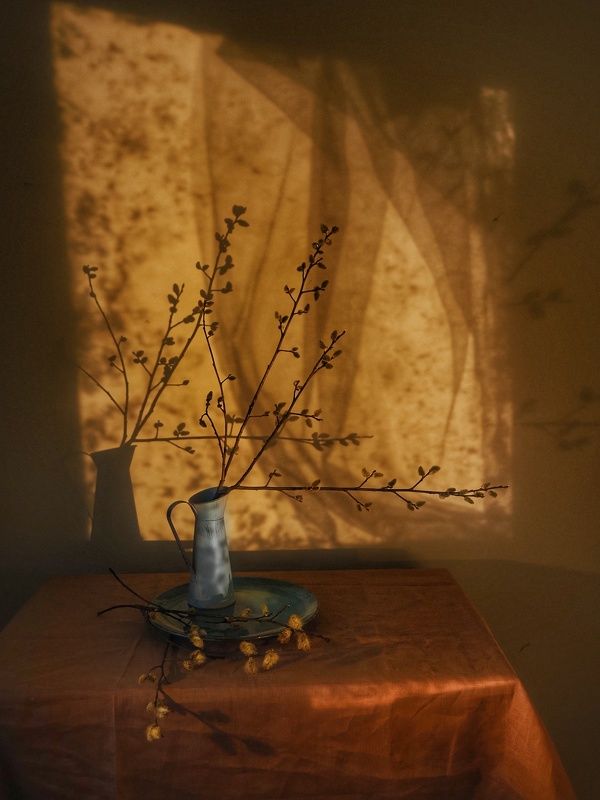 Натюрморты фото превью