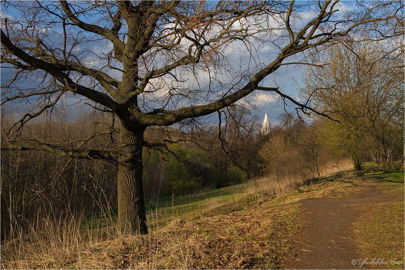 весна, коломенское *** фото превью
