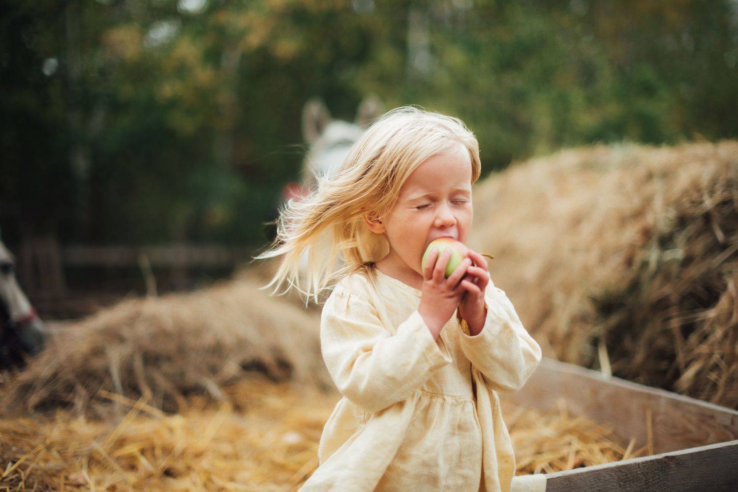 , Мария Иодис