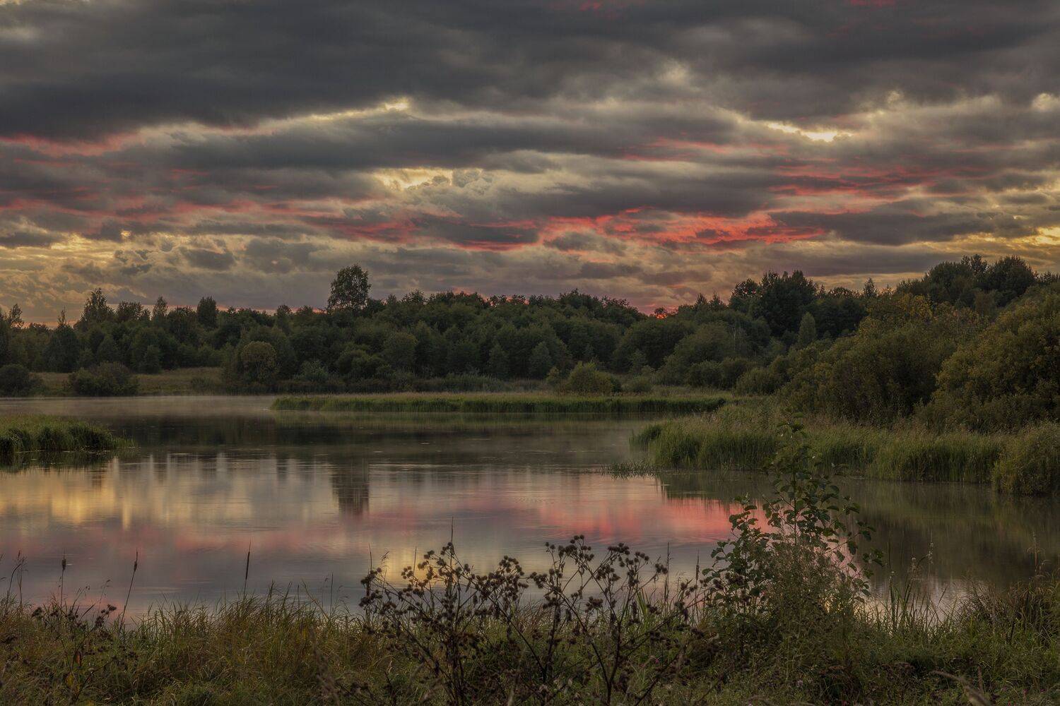 Тверская область, Гусева Елена