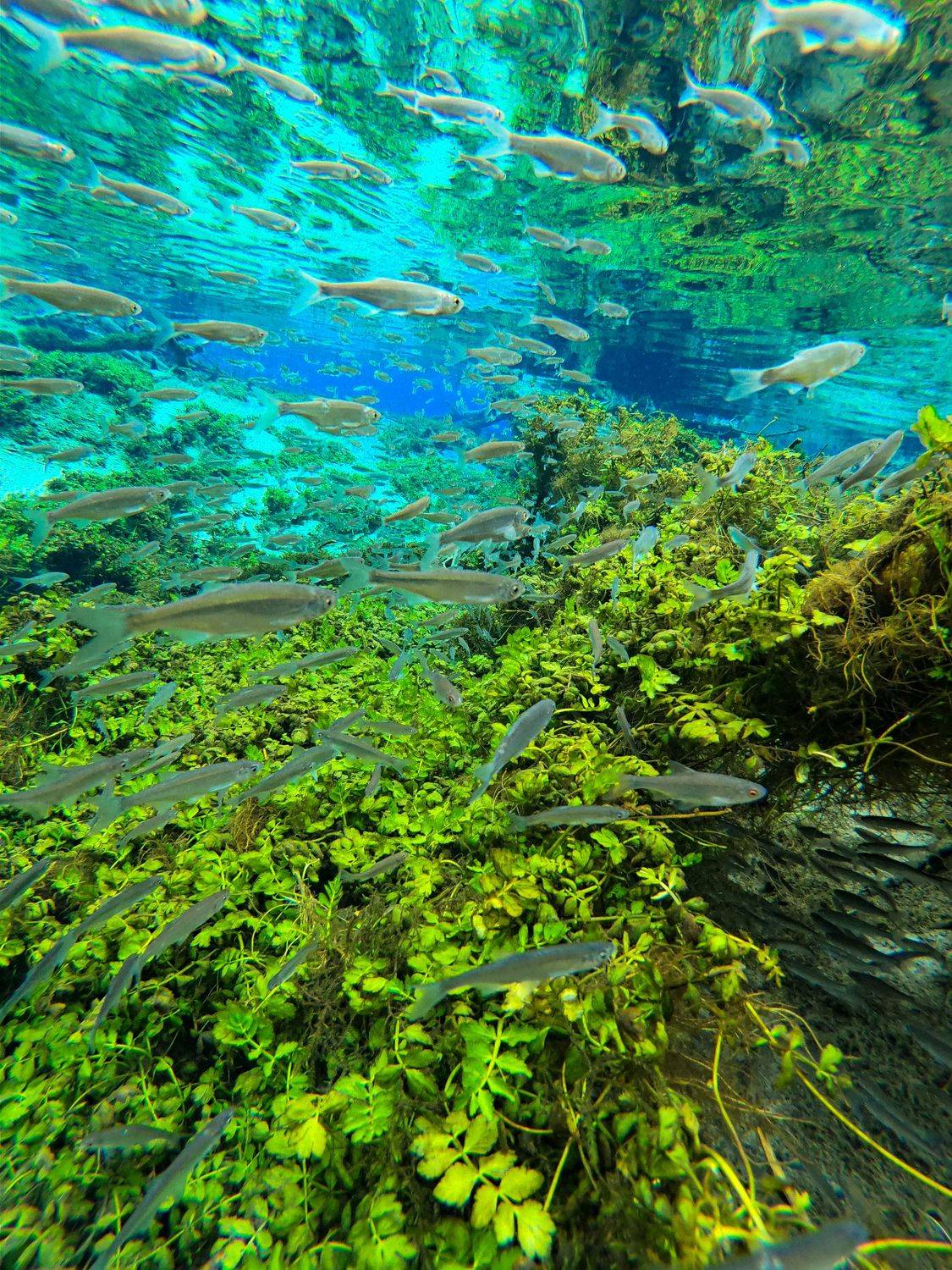 Samsung, Эдуард VTORNIK  Николаев