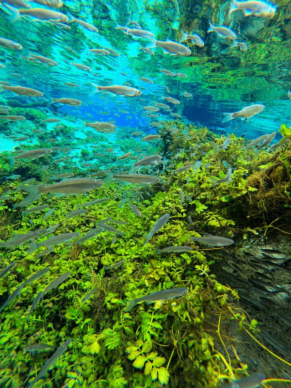 Samsung Мобилография фото превью