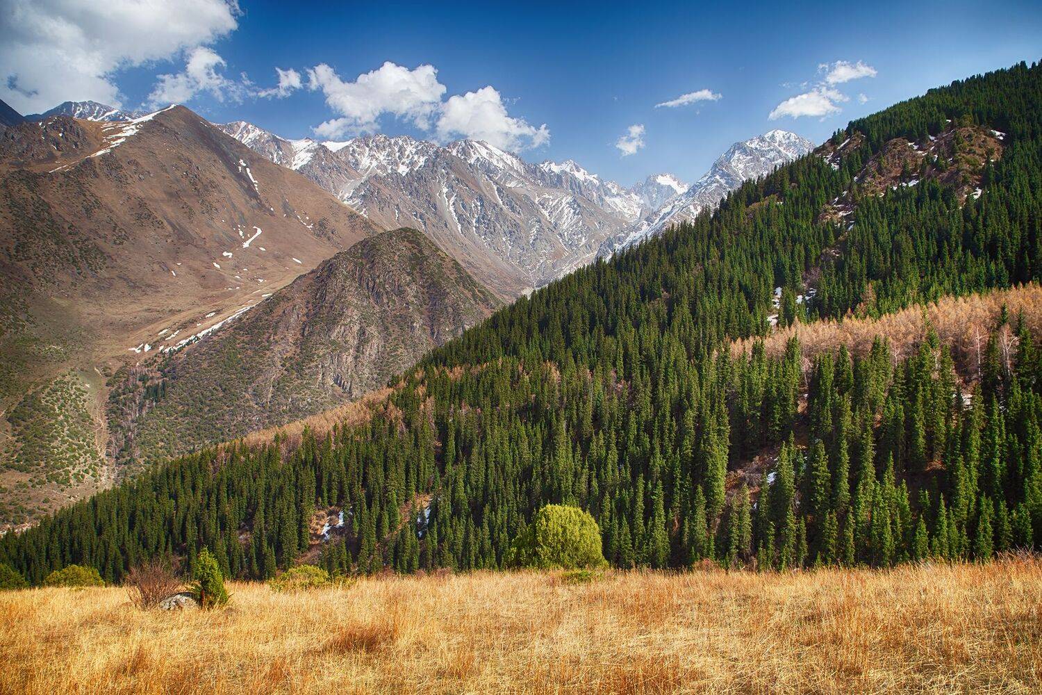 кыргызстан,горы, ала-арча, Элина Магалимова