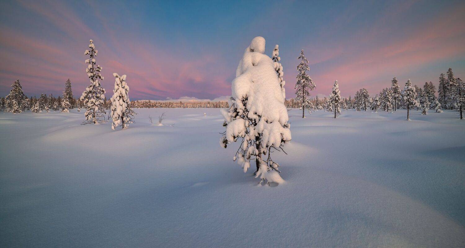 , Роман Горячий