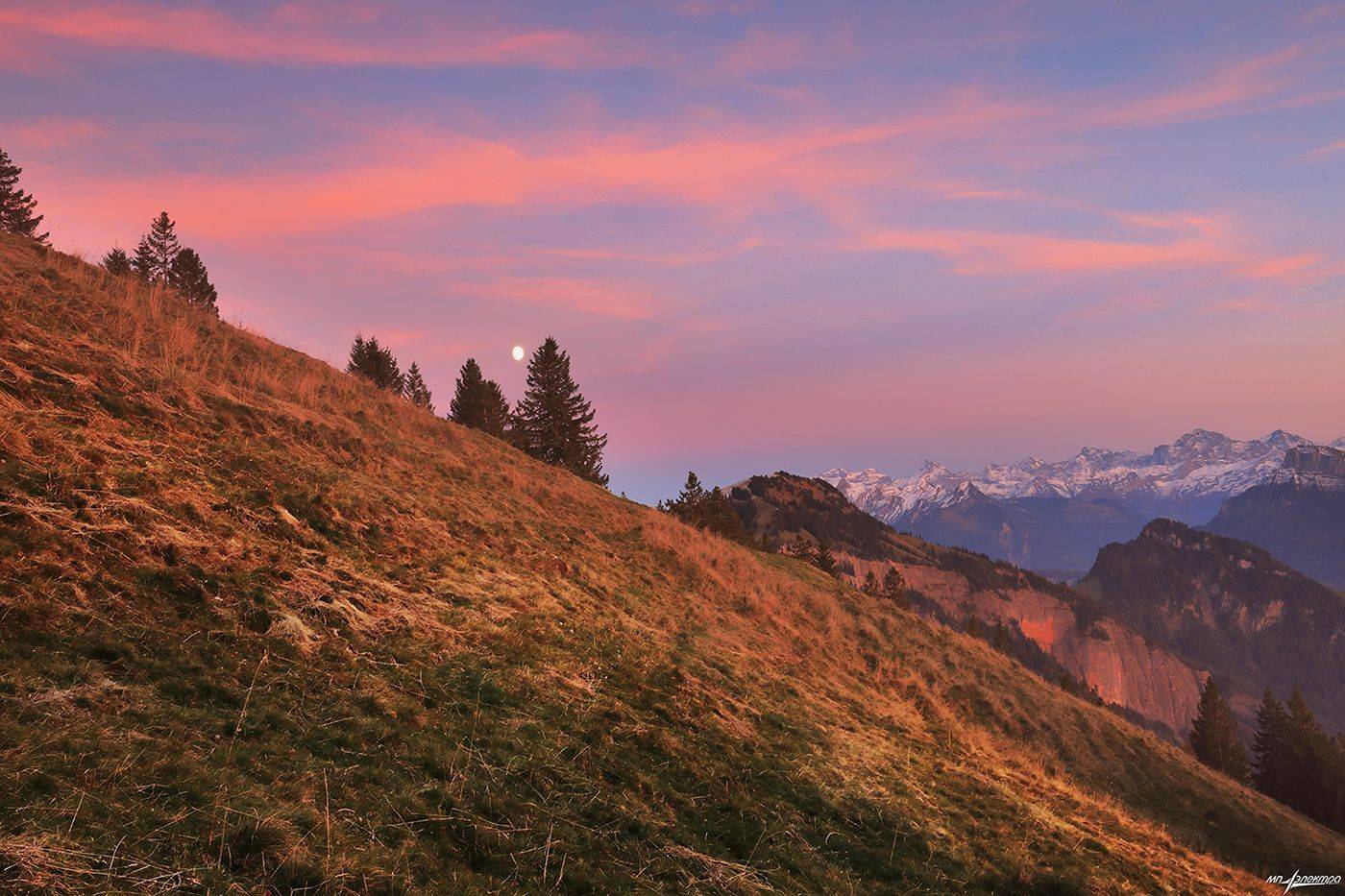 swiss, Матвеев Николай