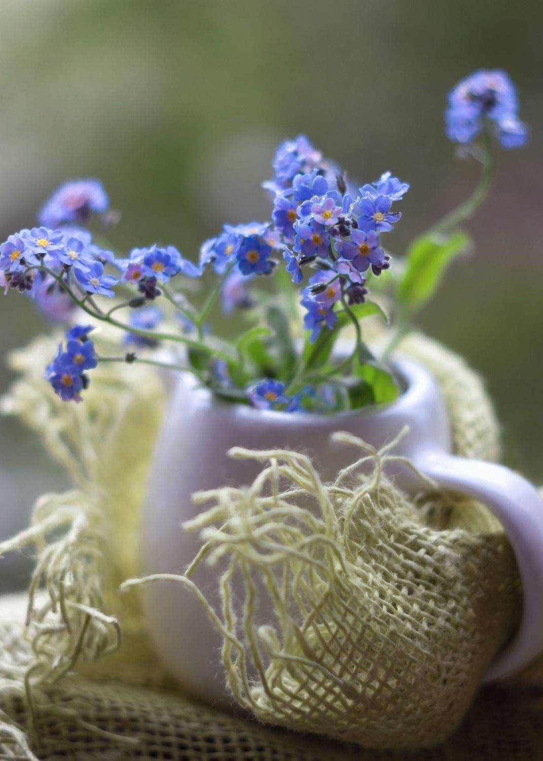 незабудки, весна,о радости,гелиос 44,светлые мысли, Горюкина Ирина