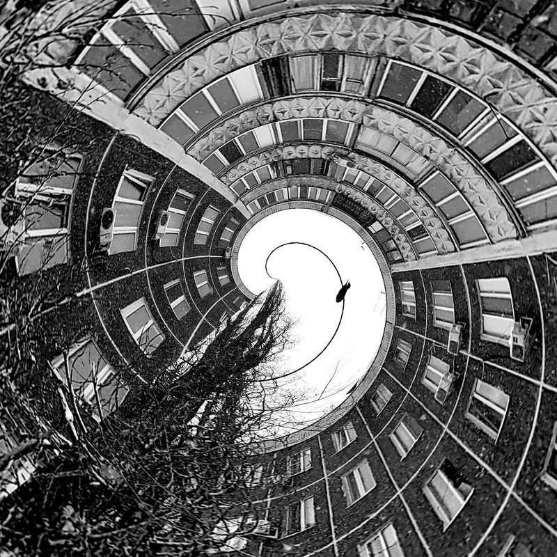swirling building, building, b&w, abstract, abstraction, bird  фото превью