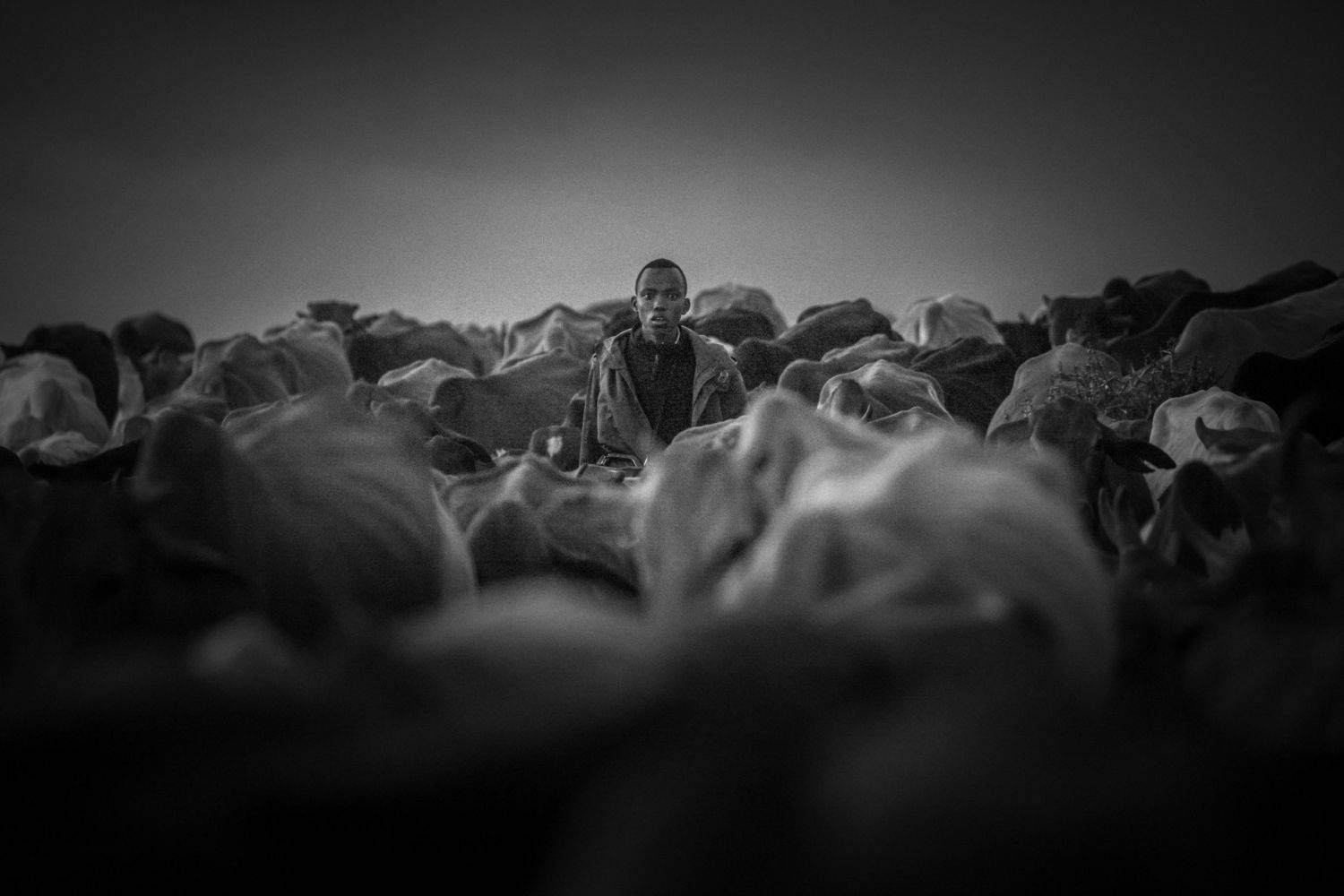 shepherd, cowboy, black and white, africa, street, kenya, masai mara, Roman Bevzenko