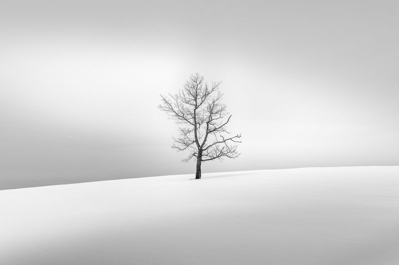 На холме фото превью