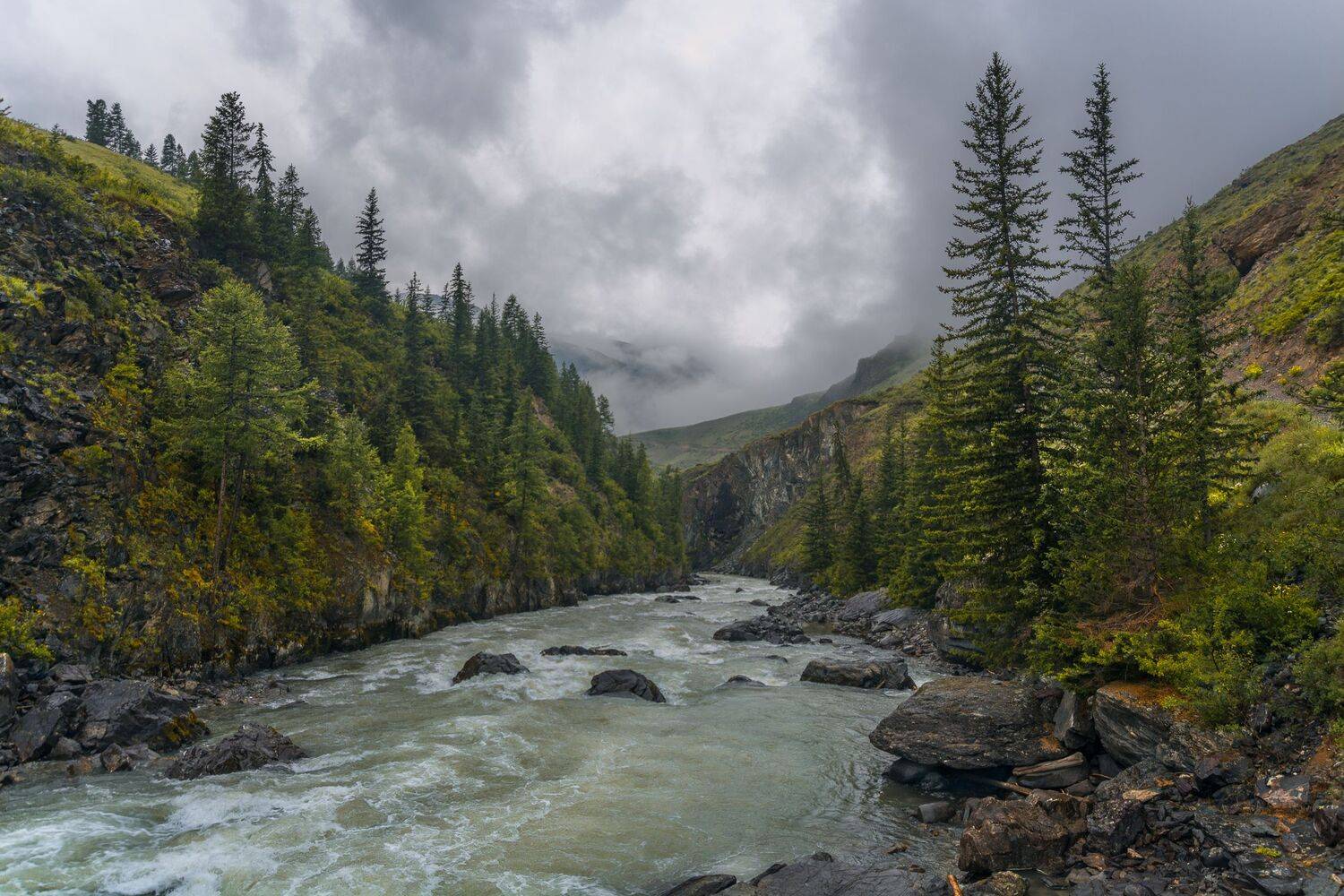 россия, горный алтай, река чуя, лето, Андрей Поляков