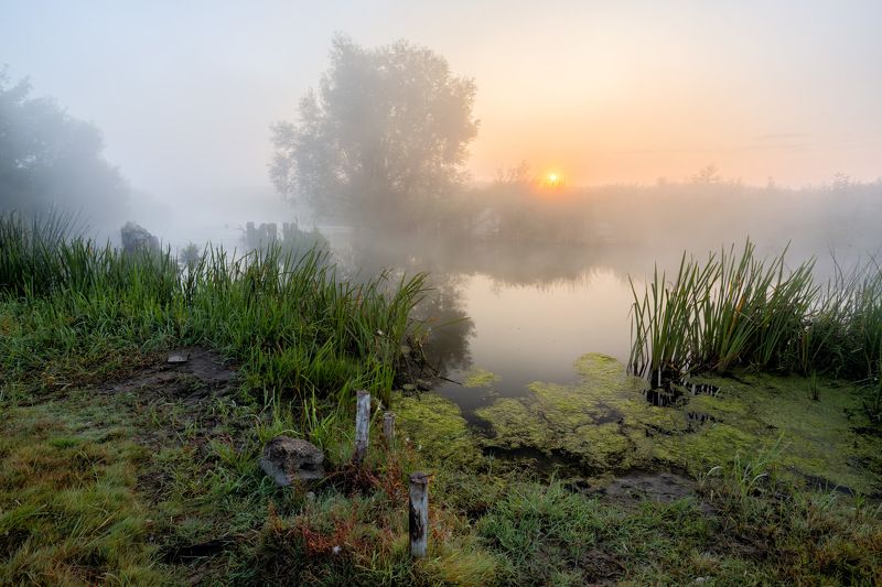 Сентябрь фото превью