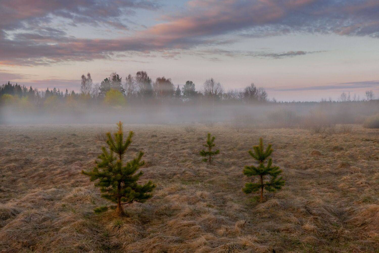 Фототуры с Владимиром Рябковым, #topnature #russpasibo #magic_shots #lovelyRussia #sunset_vision #exclusive_sky  #exclusive_shots #loves_russia2 #photoarena_nature #nature_sultans #nature_perfection #rsa_sky #rsa_sunset #photorussia #rsa_naturepics #sunse, Владимир Рябков