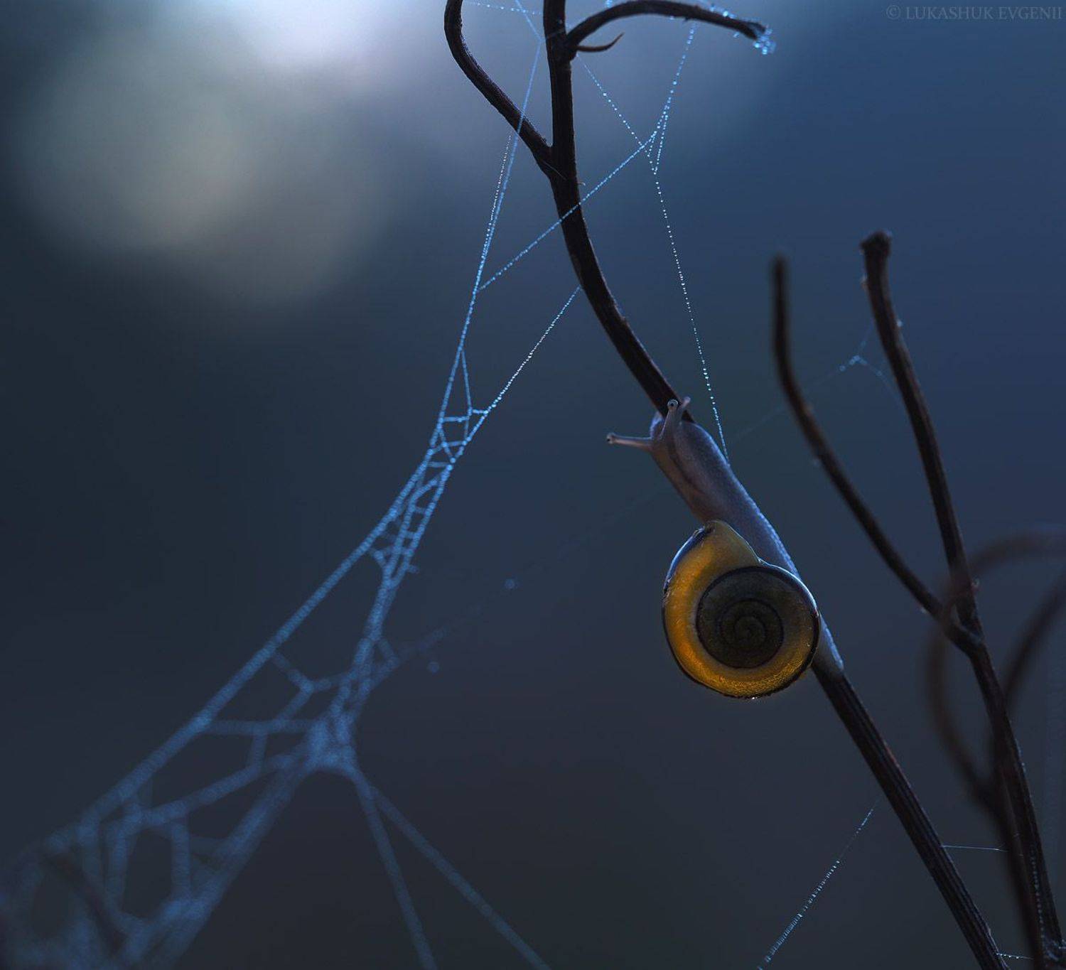 , Евгений Лукашук