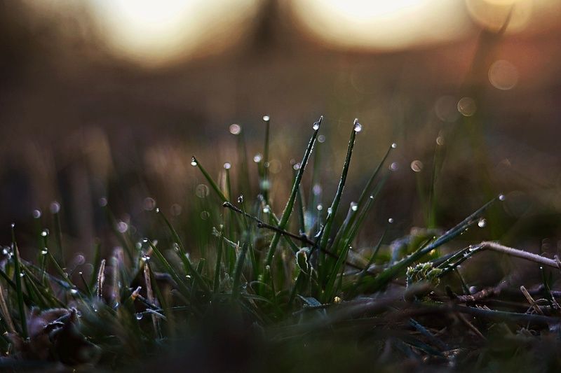 Drops* фото превью