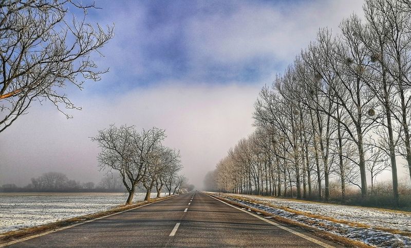 Empty road фото превью