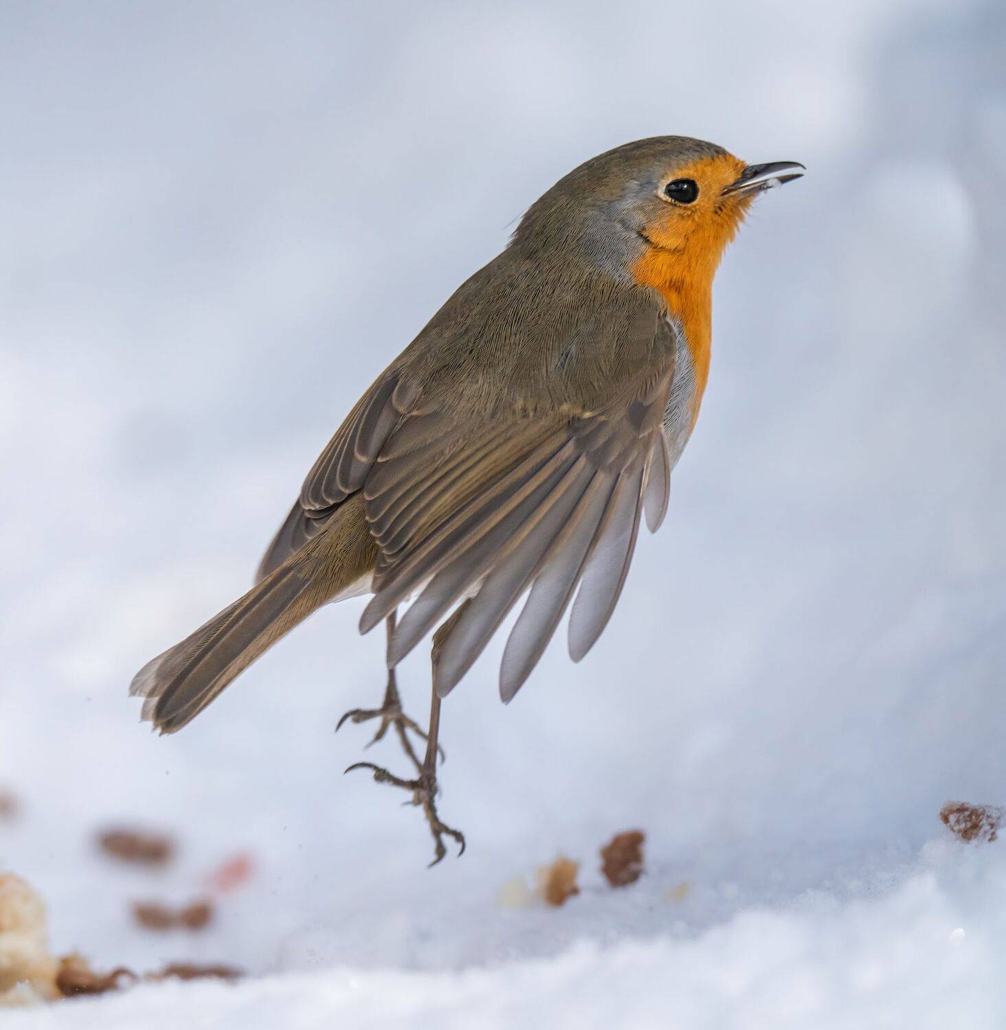 , Константин Дэм