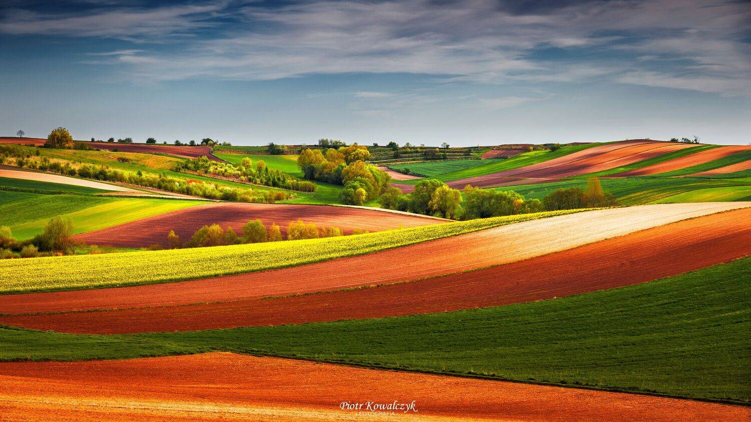 polska, ponidzie, wiosna, Kowalczyk Piotr
