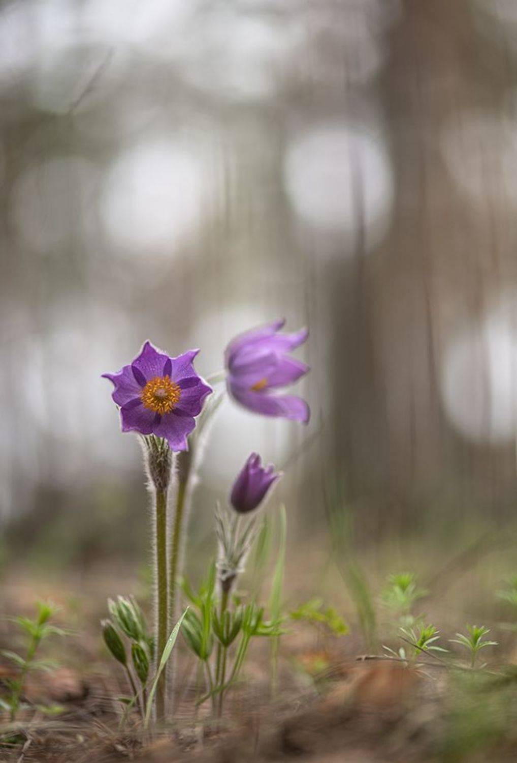 , Мещеряков Геннадий