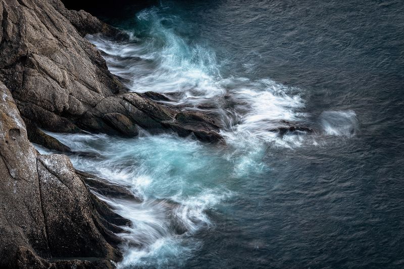 Лапы фото превью