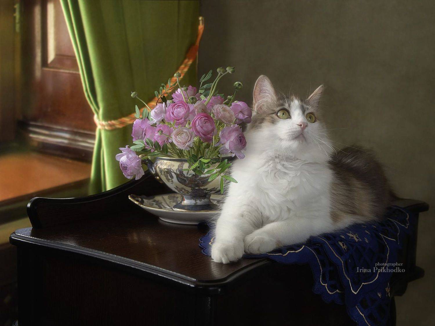 натюрморт, котонатюрморт, цветы, лютики, кошка, портрет, постановочное фото, Приходько Ирина