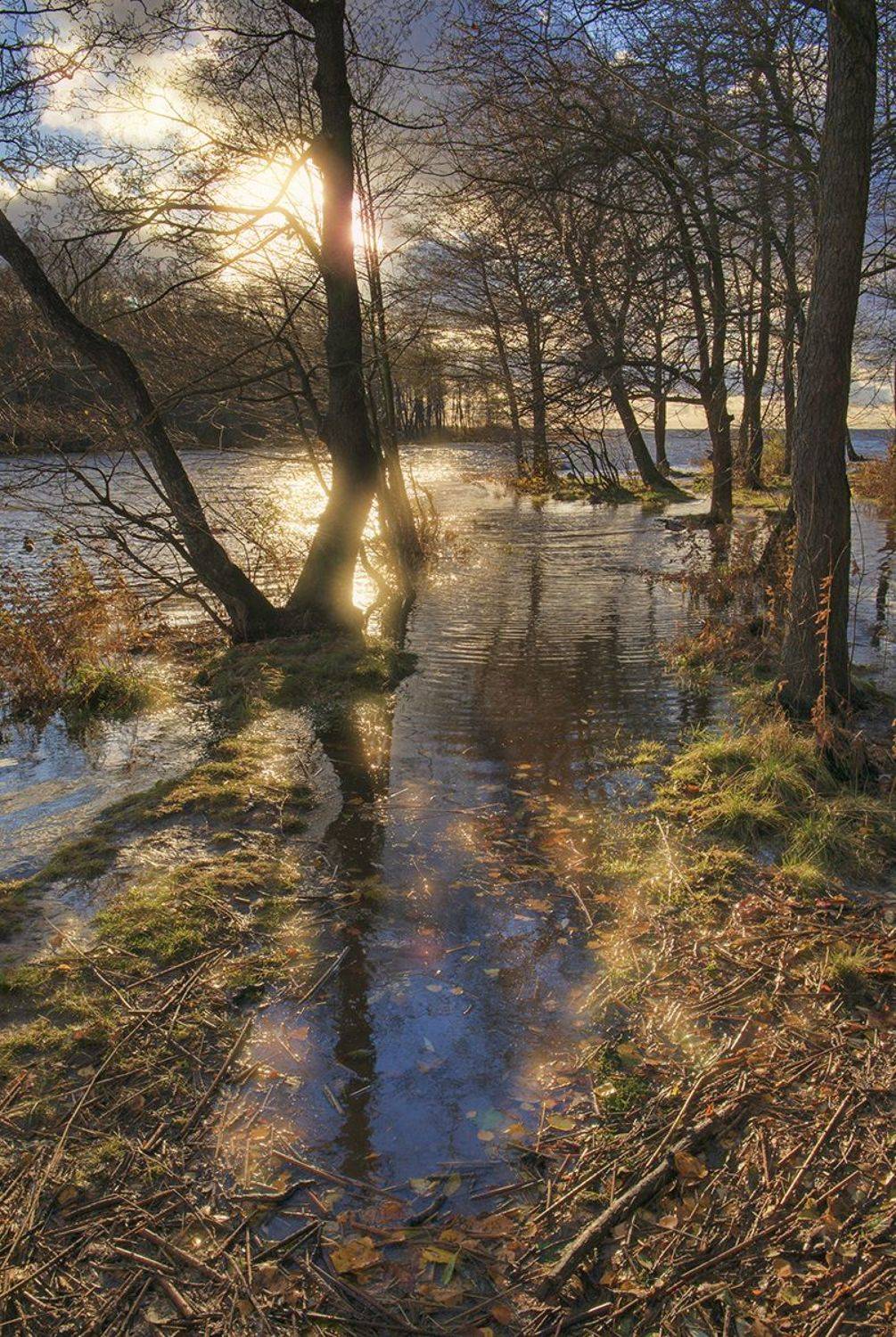 сестрорецк,парк дубки, alexOmRam