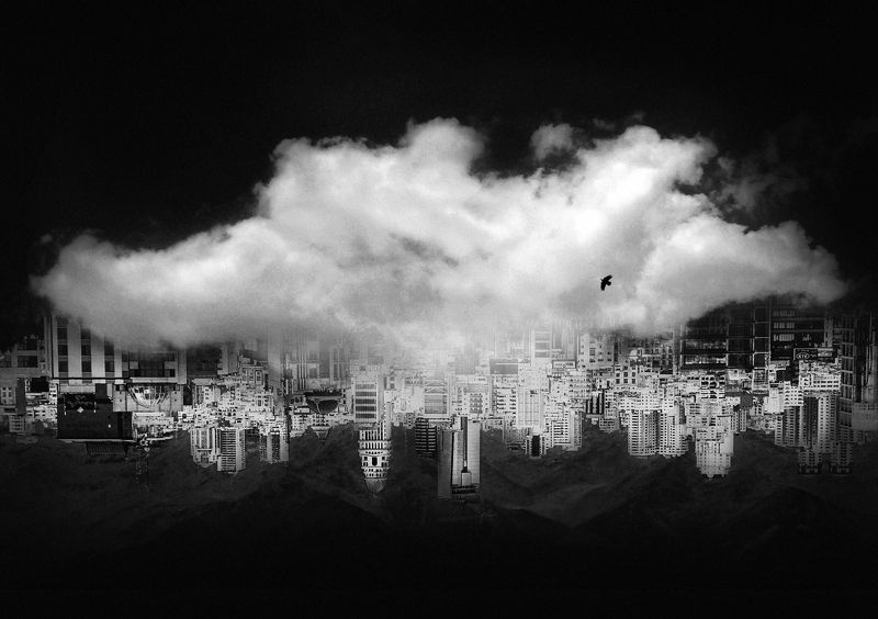 Half Half фото превью