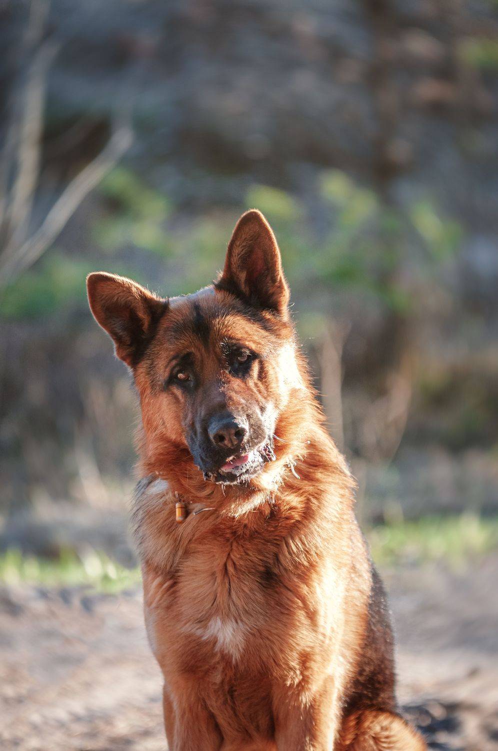 , Динара Зуйкова