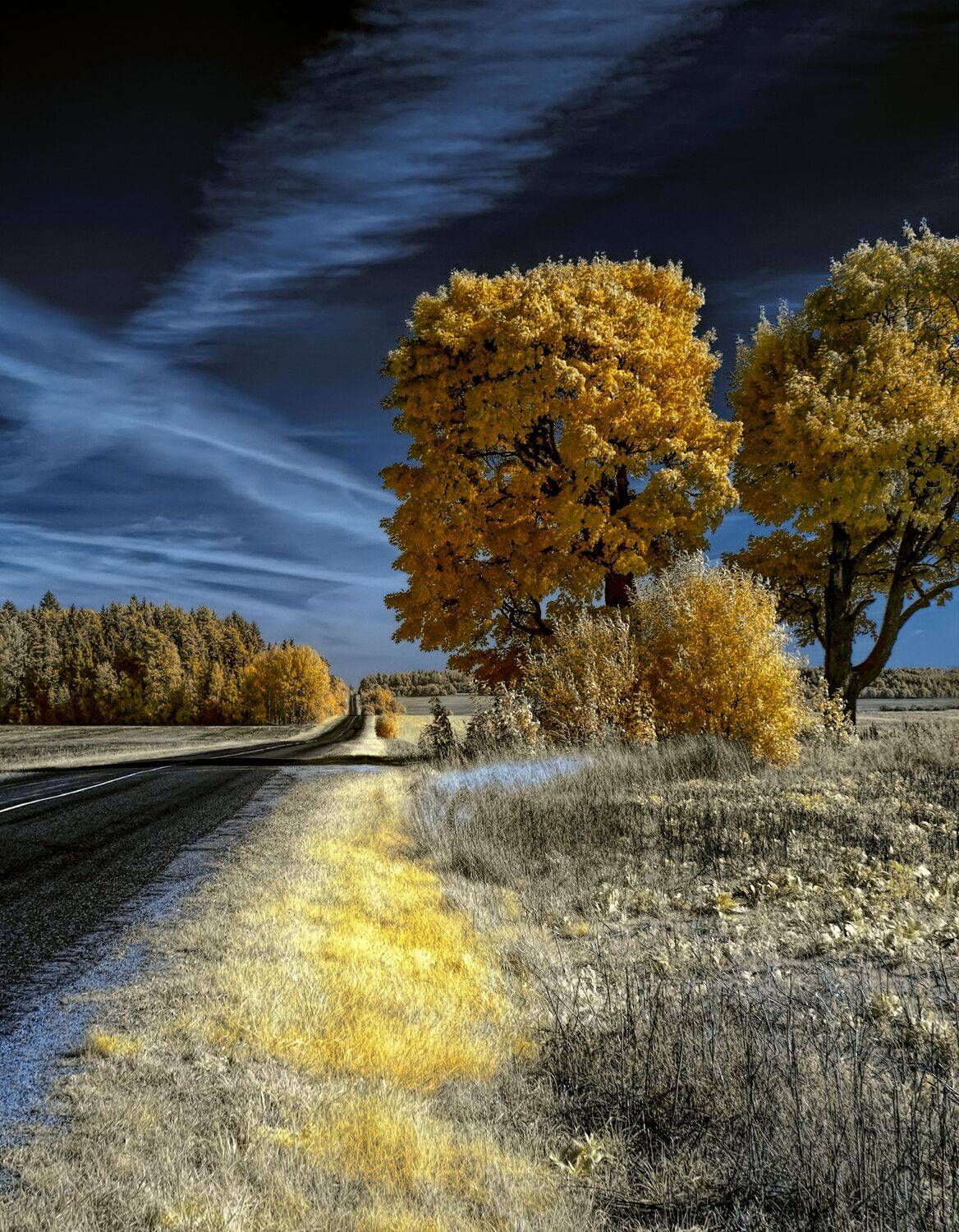 infrared,ик-фото,инфракрасное фото, инфракрасная фотография, пейзаж, осень,  Sixten (Сергей)